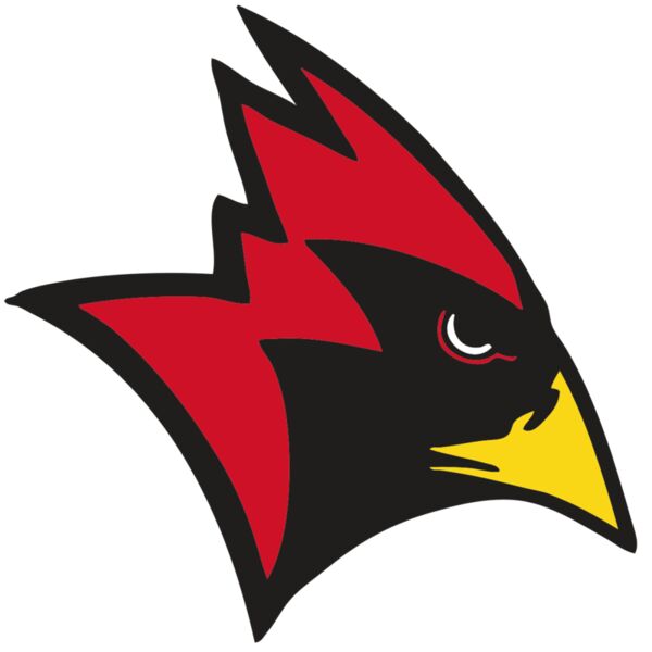 AR CARDINAL 23 RC Thumbnail