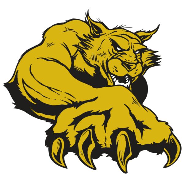 AR WILDCAT 26 RC Thumbnail